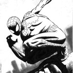 Spider-man di Ivano Codina